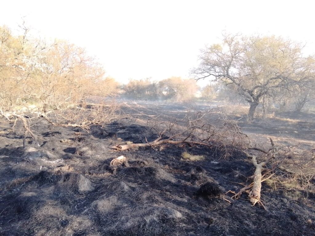 Incendios en MARIA LUISA, entre ríos